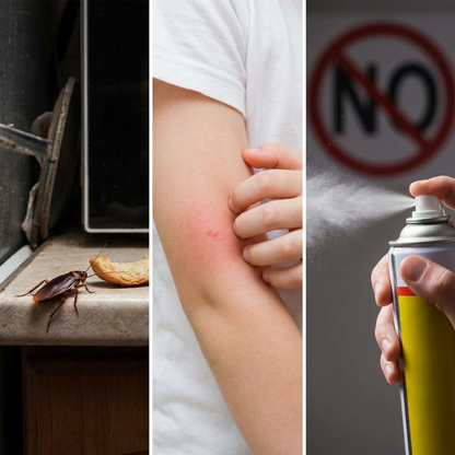 📢New Year Hot Seller – Up to 50% Off🔥Plant-Based Insect Repellent Gel for Home